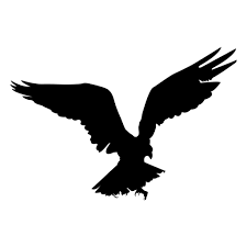 Eagle Catching Prey Silhouette Ad Ad Aff Catching Prey Silhouette Eagle Prey Silhouette Silhouette Png