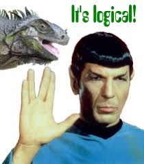 To make a rock, keep your hand in a fist as you say 3. How To Play Rock Paper Scissors Lizard Spock Momsminivan Com