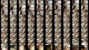 vxczvzxcvzx - XNXX.COM