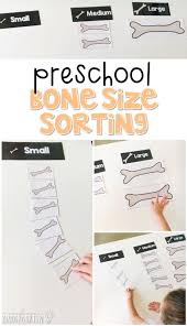 As an amazon associate i earn from qualifying purchases. Preschool My Body Mrs Plemons Kindergarten