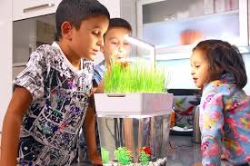 Aquagarden Akuaponik Akvaryum 600 5 Akuaponik Akvaryum Organik Atiklar
