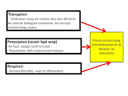 Peningkatan kuantiti bahan pencemar yang mengakibatkan perubahan fizikal atau kimia dalam alam sekitar. Pemeliharaan Dan Pemuliharaan Alam Sekitar Tingkatan 5