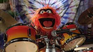 25 best memes about animal muppet meme generator. Animal Muppet Blank Template Imgflip