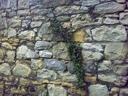Ohne betoniertes fundament kannst du mit dem mauersystem eine stützmauer mit ankerblock bis 260 cm höhe errichten. Kosten Fur Eine Gartenmauer Aus Beton Hausmagazin Com