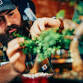 Bonsai Workshop at Castle Island Brewing Co. event image