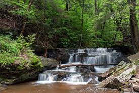 As a visitor to the national forest, you are asked to follow certain rules designed to protect the forest, natural resources and to provide for public safety of visitors. How To Get To Pigeon Falls In The Allegheny National Forest Uncovering Pa