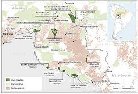 The amazon rainforest is burning at a record rate: Local Ngos In Rondonia Warn Against Protected Areas Dismantling In The Brazilian Amazon Wwf Brasil