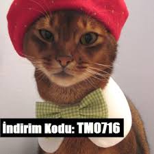 Markamama 10 Hediye Ceki Avantaji Kaynak Http Indirimkodu Com Promosyon Kodu Markamama Indirim Kuponlari