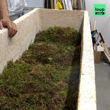 Dans un premier temps, les porteurs en indonésie lors d'un cortège funèbre, le défunt tombe de son cercueil pendant la cérémonie que précède l'enterrement. Loopsider Avec Ce Cercueil Le Corps Se Decompose En 2 A 3 Ans Au Lieu De 10 Habituellement Facebook