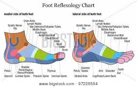 foot reflexology side profile lateral medial view poster id