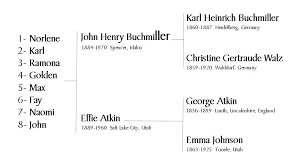 Buchmiller Family History Abc