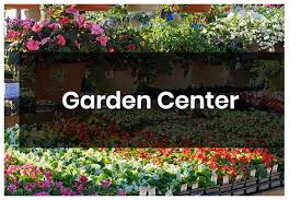 Find over 27 million businesses in the united states on the official yellow pages directory website. Home Holly Days Nursery Garden Center Landscaping