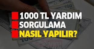 Pandemi 1000 tl yardım başvurusu nasıl yapılır? 1000 Tl Pandemi Sosyal Destek Basvuru Sonuclari Sorgulama Nasil Yapilir 6 Milyondan Fazla Kisi Basvurdu Takvim