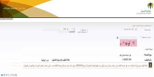 استعلام عن رخصة العمل وطريقة الاستعلام عن رسوم رخصة العمل الرسمية