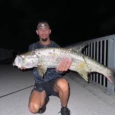 This poon literally shit himself when he saw me lmao 😂😎 #fishing #fish  #fishinglife #nature #sea #outdoors #bassfishing #catchandrelease #pesca  #photography #hunting #flyfishing #fisherman #travel #bass #fishingtrip  #angler #ocean #like #boat #beach #