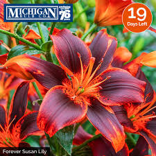 Maybe you would like to learn more about one of these? Michigan Bulb Co Michiganbulb Twitter