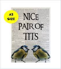 A3 Funny Bird Quote Nice Pair of Tits Print Blue Tits - Etsy