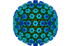 Para encontrar más libros sobre microscope manufacturers companies in taiwan mail, puede utilizar las palabras clave relacionadas : Scotland Shakes Up Cryo Electron Microscopy 2019 Wiley Analytical Science