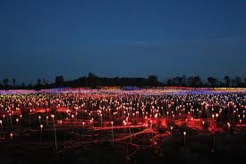 Image result for Field of Light Uluru