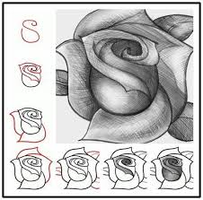 Come Disegnare Una Rosa Disegni Di Rose Come Disegnare Disegni