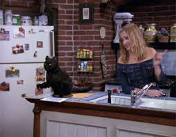 Jackson says to designate a specific spot in your kitchen, like a nearby chair or a cat tree, where it's okay for your cat to be. This 1 Actor Was Every Cast Member S Favorite On Sabrina The Teenage Witch