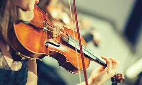 Find the top products of 2021 with our buying guides, based on hundreds of reviews! 7 Best Violins For Professionals Of 2021 Advanced Students Players Violin Brands