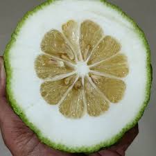 Itna Bada Nimboo Limboo Huge Gigantic Giga Lemon Lime Nimbu Lemon Bigger Than Oranges Or Mosambi Lime Lemon Oranges