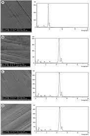 Effects Of Peracetic Acid On The Corrosion Resistance Of