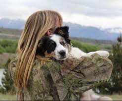Jun 06, 2021 · colorado springs colorado but we offer transport. Cliffhanger Kennels Home