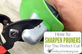 If you don't own a grinder, they don't cost much to buy and can be used for all kinds of other tasks too. How To Sharpen Pruning Shears For The Perfect Cut Every Time