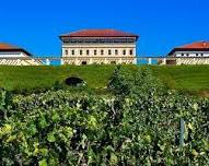 MySOMM + Chef's Table Winemaker Dinner: Rioja Vega