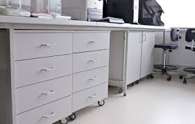 Features two drawers, adjustable shelves, one storage compartment, four swivel castors and brass hardware. Laboratory Furniture Labochema