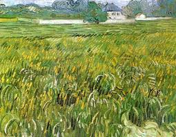 Vincent Van Gogh Ciudades Campo De Trigo En Auvers Con Casa Blanca 1890 Impresionismo Van Gogh Van Gogh Vincent Van Gogh