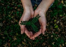 On the first earth day in 1970, 22 million americans celebrated clean air, land, and water. Celebrating Earth Day And Earth Month In April Syracuse University News