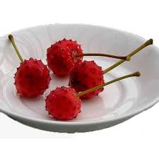 Can people eat dogwood fruit/berries? Kousa Dogwood Seeds Edible Fruits Cornus Kousa Ø§Ù„Ø³Ø¹Ø± 2 50