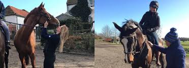 See more ideas about dream barn, horse barns, horse stables. Annabelles Equestrian