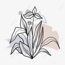 Rumput, rumput, ilustrasi rumput hijau, fotografi, kartun rumput png. Gambar Lukisan Garis Bunga Bunga Hitam Bunga Rumput Tanaman Png Dan Psd Untuk Muat Turun Percuma