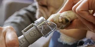Jan 07, 2021 · how to grind dog nails with a dremel: Take Care Of Your Pet With Dremel Nail Grooming Tips And More Dremel