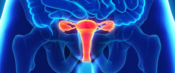 Gutartige tumoren der gebärmutter, insbesondere myome (uterus myomatosus): Diagnose Krebs Krebsinfo Diagnose Krebs Was Nun Sudtiroler Sanitatsbetrieb