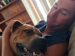 Coroner unable to find the precise reason behind truck driver Steven  Lawrie's death in a fiery crash