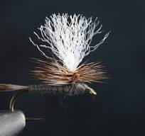 Parachute Adams - Fly Fisherman