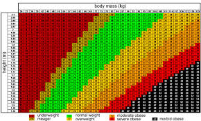 Bmi Chart For Morbidly Obese Best Picture Of Chart