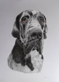 Ganz gleich ob groß oder klein mit glatthaarigem oder rauem fell schwarz weiß. Tierportraits Nach Fotovorlage Tiermaler Tierzeichner