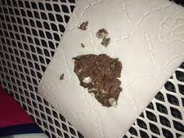 Ihre katze muss auch dringend und häufig ihr geschäft verrichten. Hilfe Minimal Blut Im Stuhl