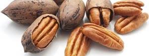 Apr 05, 2019 · add a handful of pecan nuts in your diet to keep your diet meter complete with sufficient levels of minerals, vitamins, and protein. Pecans Nutrition Facts And Health Benefits