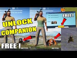 This is the simplest way to get yourself a companion in pubg mobile while it is also the most costly way. Video Pubg Mobile Companion Event