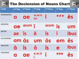 the declension of nouns chart cases1st sing 1 st plural2 nd