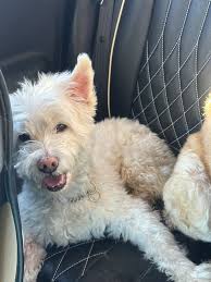 Frontage road by Road 12 right now