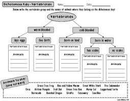 Animal Classification Vertebrate Dichotomous Key Activity Animal Classification Dichotomous Key Science Teaching Resources