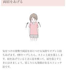 肩幅ガンダムさんに朗報 肩幅が狭くなるストレッチがあったｗｗｗ 話題の画像プラス ゴマアザラシ 朗報 ストレッチ